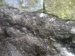Carrowmore  10075.jpg